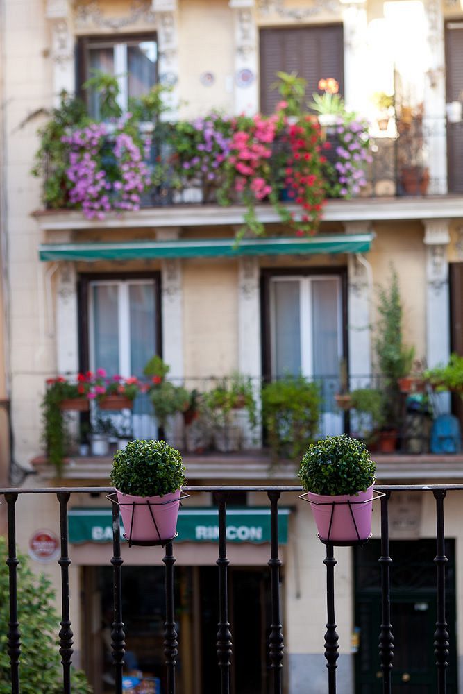 Thc Latina Hostel Madrid Exterior photo